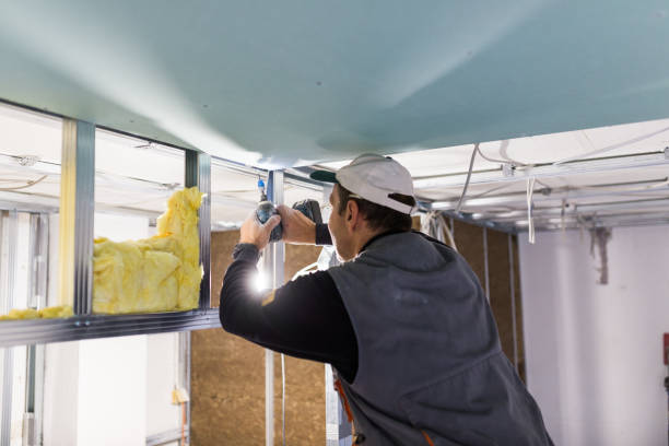 Best Insulation for New Construction  in Lovell, WY