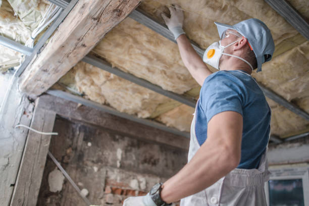 Best Insulation Contractor Near Me  in Lovell, WY