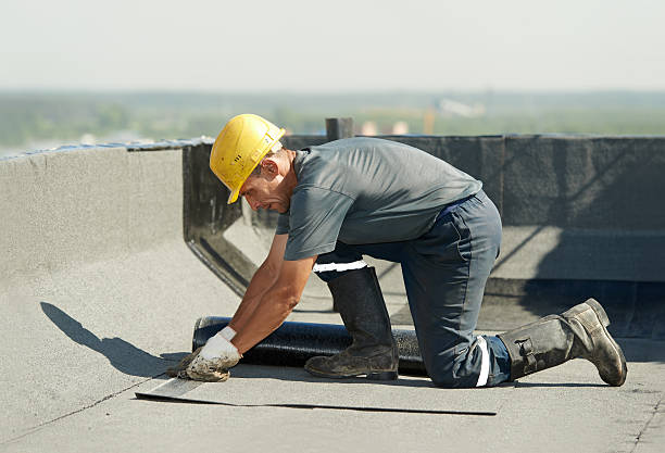 Best Local Insulation Services  in Lovell, WY