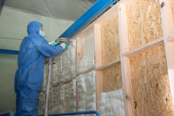 Best Crawl Space Insulation  in Lovell, WY